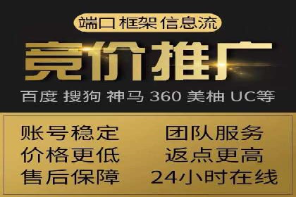 百度竞价推广在电商领域的赚钱案例